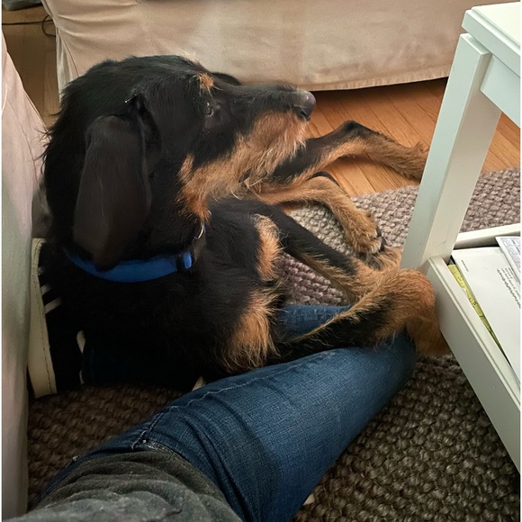 Meet your Posher, Karin - Picture 4 of 4